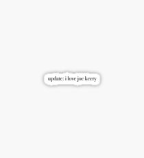 i love joe keery Sticker