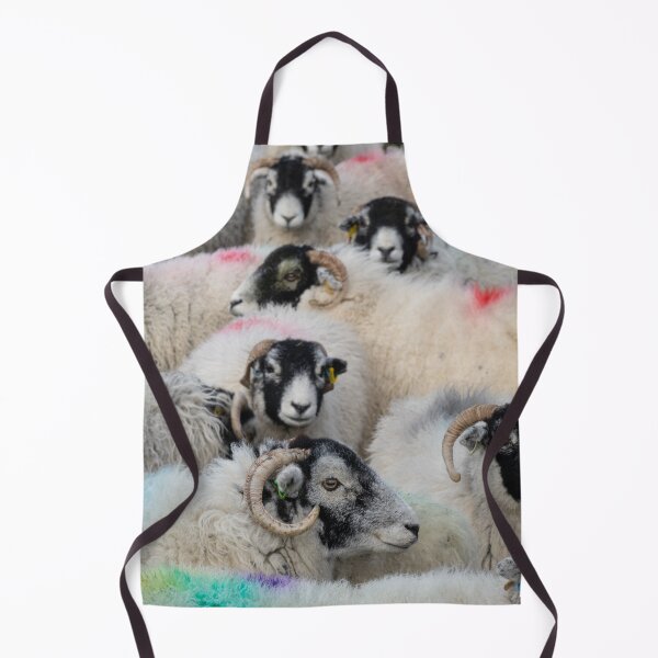 Item preview, Swaledale Sheep designed and sold by HAPhotography.