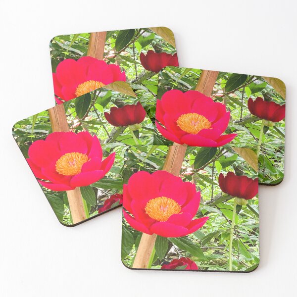 Item preview, Peony on the Stake designed and sold by bmeid.
