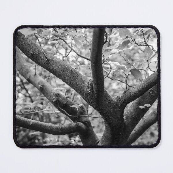 Item preview, A forest designed and sold by kifaya.