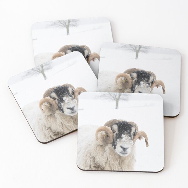 Item preview, Swaledale Ram in snowy field designed and sold by HAPhotography.