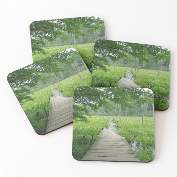 Item preview, Wetlands Boardwalk  designed and sold by Tonia Delozier's Photography .