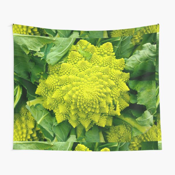 Romanesco Broccoli Tapestry By Brunobeach Redbubble