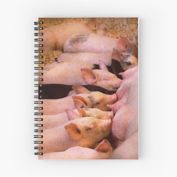 Item preview, Animal - Pig - Comfort food designed and sold by Mike Savad Photography.