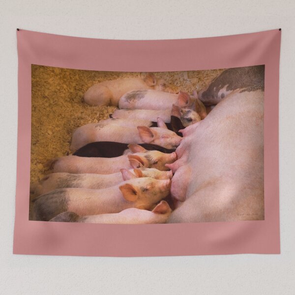 Item preview, Animal - Pig - Comfort food designed and sold by Mike Savad Photography.