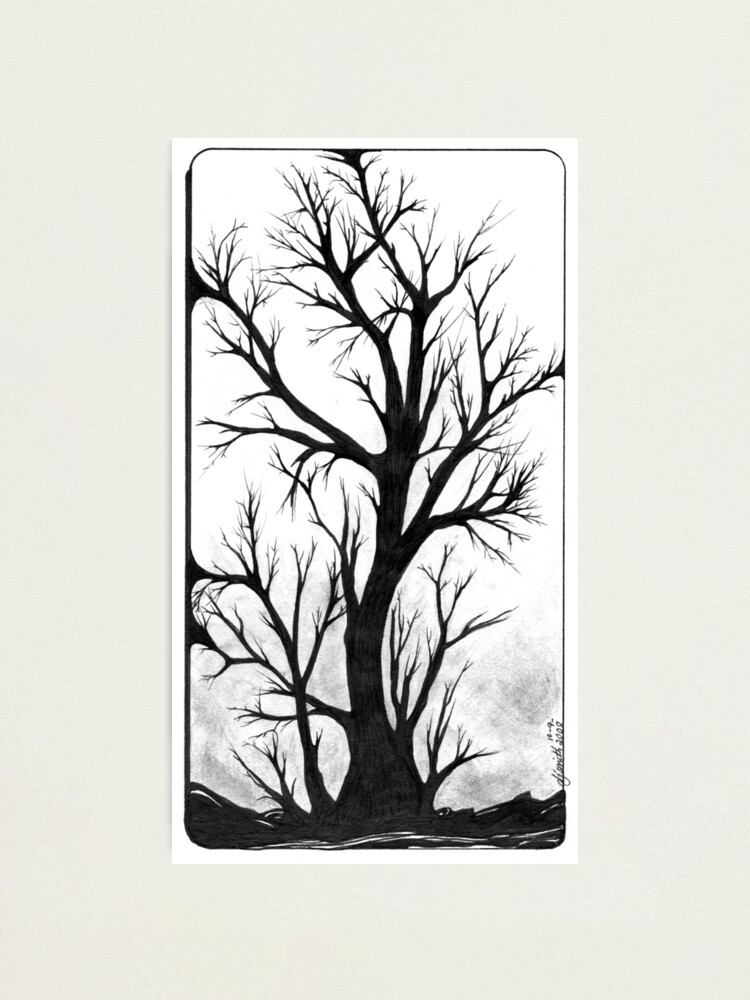 Thumbnail 2 of 3, Photographic Print, Winter's Bark, Ink Drawing designed and sold by Danielle Scott.