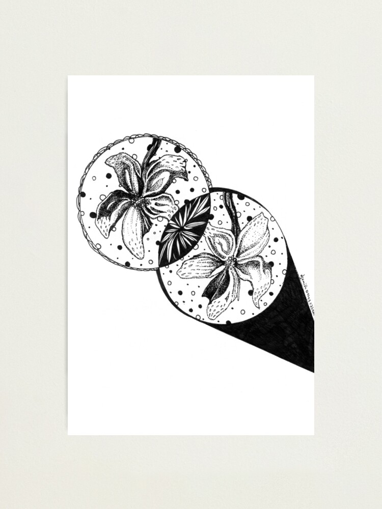 Alternate view of Seeing Double, Ink Drawing Photographic Print