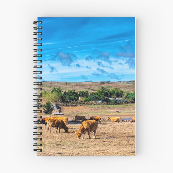 Item preview, Spanish Countryside with Green Fields and Cows Cantabria Spain designed and sold by acceleratorhams.