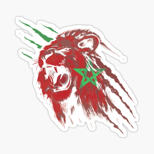 : Soccer team Morocco national flag Lion pride : Cell Phones &  Accessories