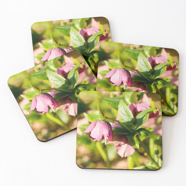 Item preview, Helleborus Orientalis designed and sold by Tanya C  Smith.