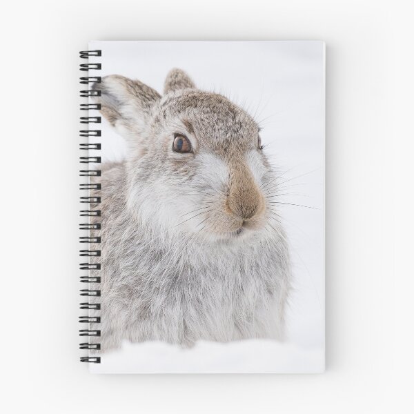 Item preview, Snowy Mountain Hare designed and sold by cjdolfin.