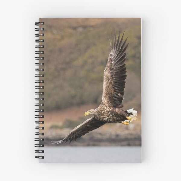 Item preview, White Tailed Eagle designed and sold by cjdolfin.