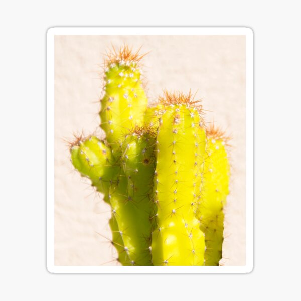 lemon cactus Sticker