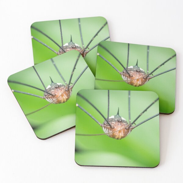 Item preview, An alien looking harvestman (daddy longleg) designed and sold by AvonPerception.