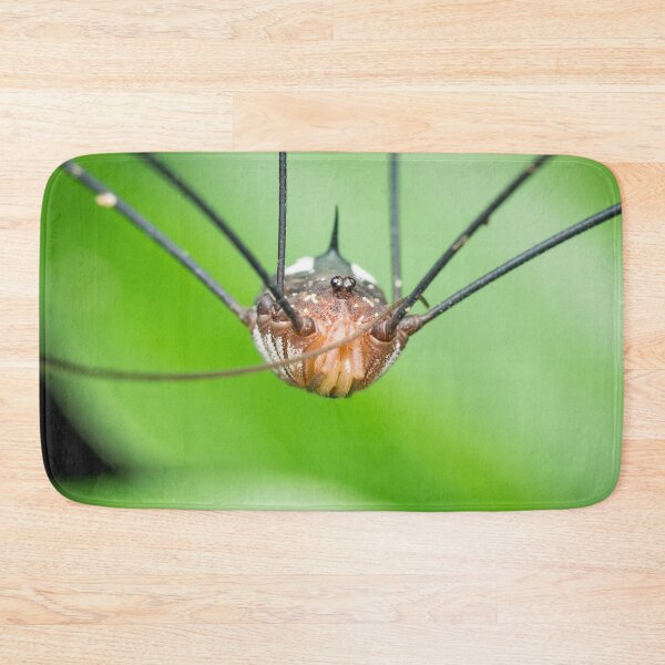 Item preview, An alien looking harvestman (daddy longleg) designed and sold by AvonPerception.