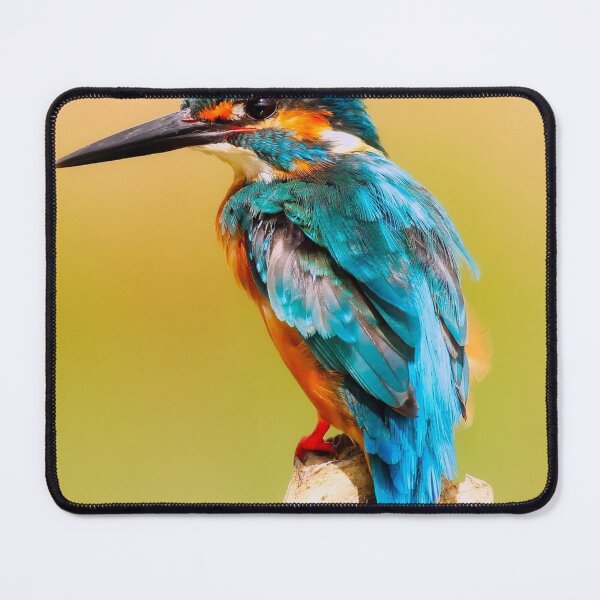 Item preview, Kingfishers in Tree designed and sold by Soy-el-Soil.