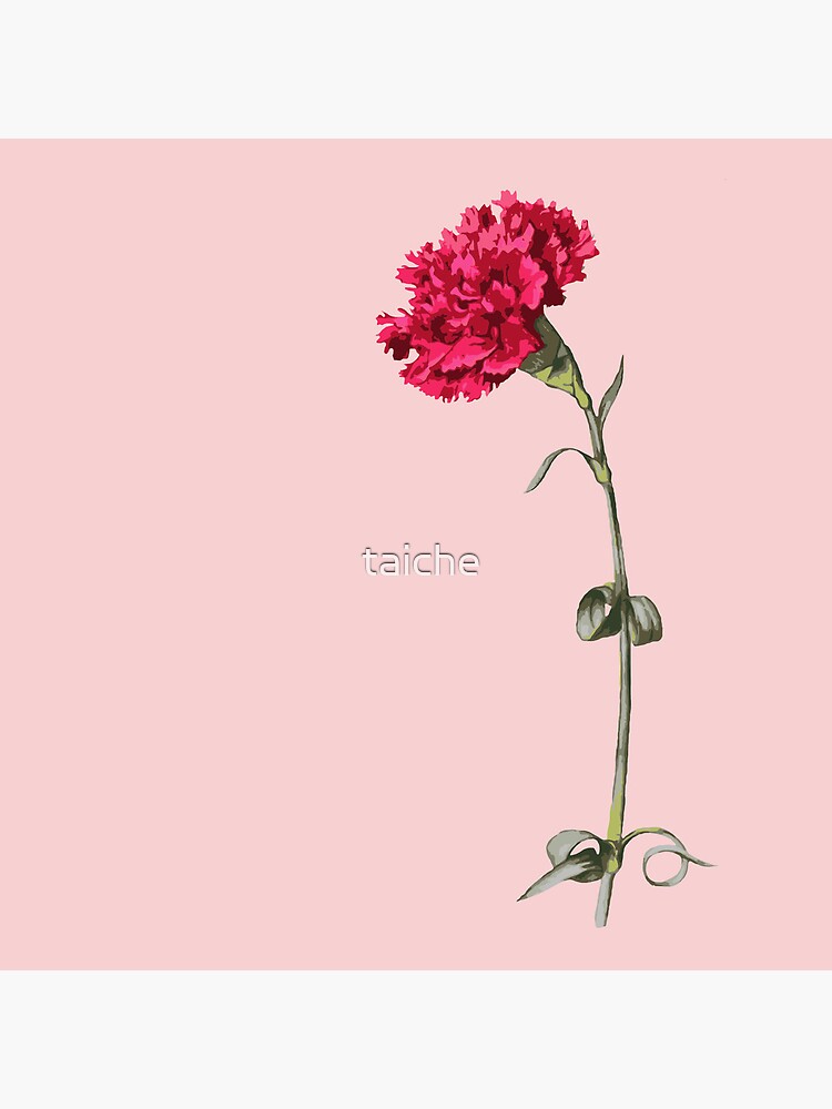 Thumbnail 5 of 5, Coasters (Set of 4), Single Stem Red Carnation Isolated designed and sold by taiche.