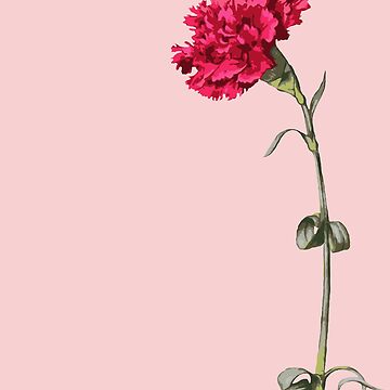 Artwork thumbnail, Single Stem Red Carnation Isolated by taiche