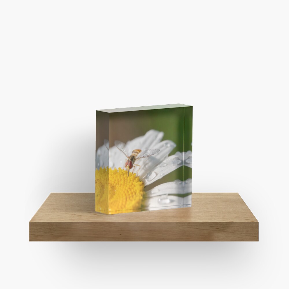 Watering Hole Acrylic Block