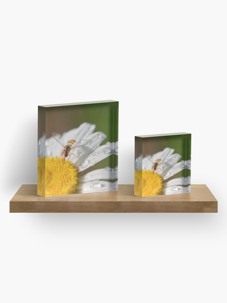 Alternate view of Watering Hole Acrylic Block