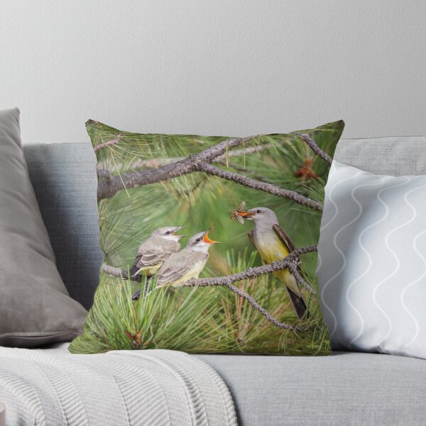 Item preview, "Who wants the June Bug?" -- Western Kingbird designed and sold by Tom Talbott.