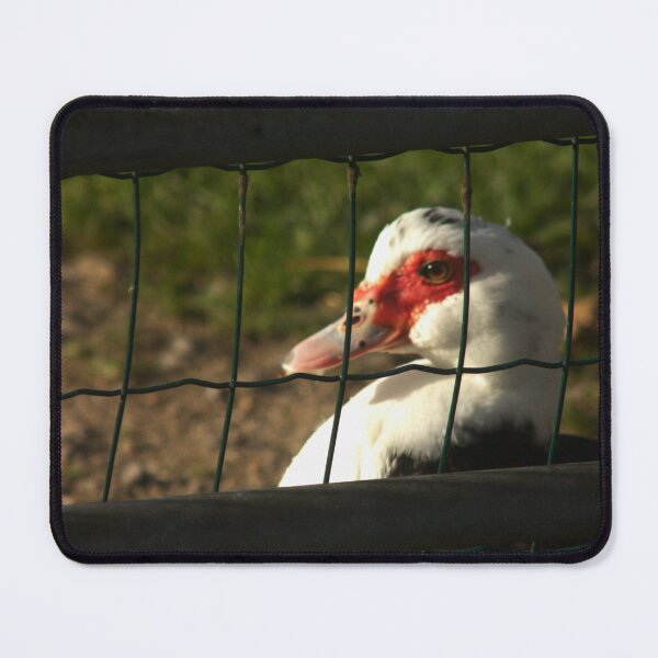 Item preview, waterfowl  designed and sold by Francespoppy.