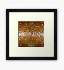 Ornamental Grass Framed Print