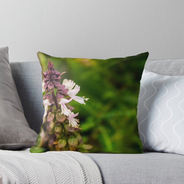 Item preview, Tulsi (Holy Basil) designed and sold by lm31.