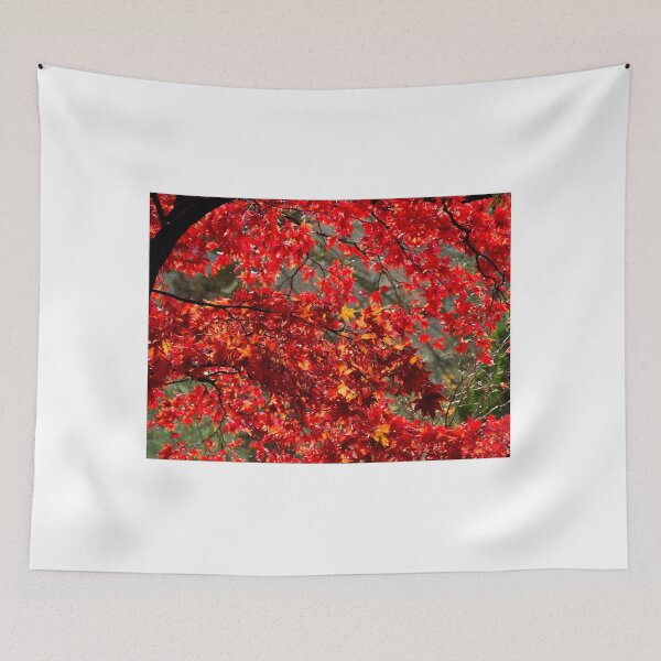 Item preview, Fiery Acer Leaves designed and sold by Dorset Girl.