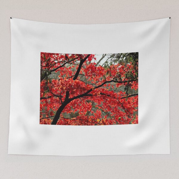 Item preview, Fiery Acer Leaves 2 designed and sold by Dorset Girl.