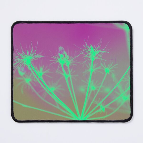 Item preview, Queen Anne's Lace seed head  designed and sold by FOLK ART FUSION by heidiannemorris.