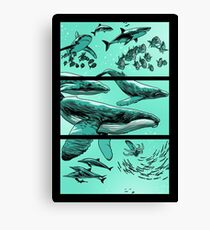 High Water Canvas Print