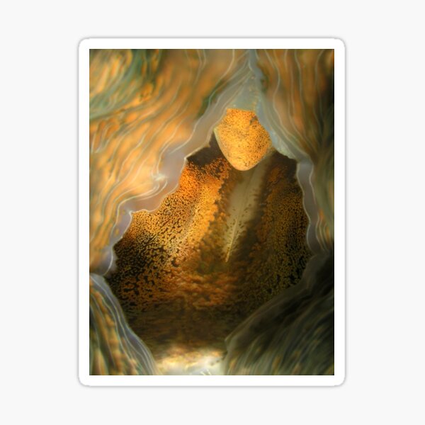 Reef Erotica II Sticker