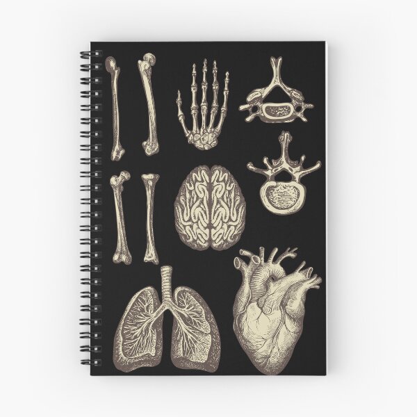 Item preview, Vintage human anatomy  designed and sold by Preslava Genova.