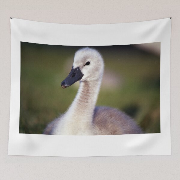 Item preview, Cygnet of Llanfairfechan designed and sold by Michael Haslam.