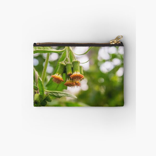 Item preview, Withered Asteraceae designed and sold by lm31.
