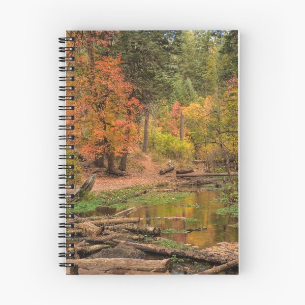 Item preview, Reflections of Autumn designed and sold by Sue  Cullumber.