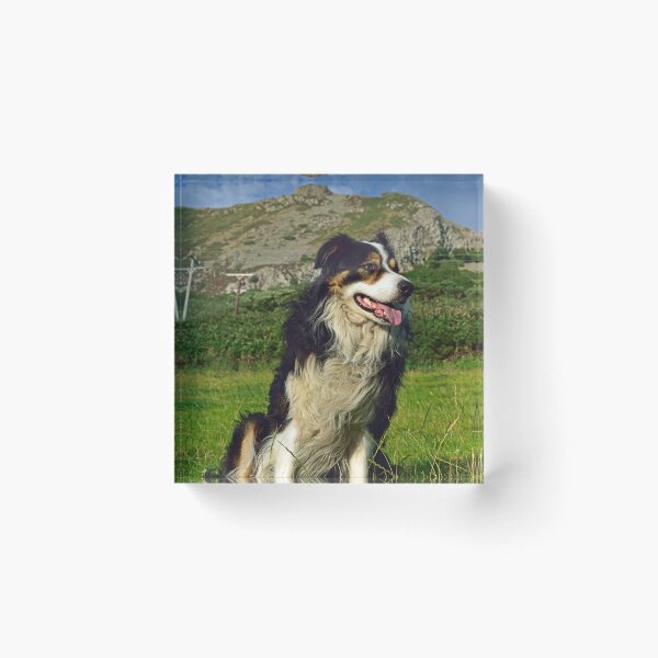 Item preview, Stand tall. designed and sold by Michael Haslam.