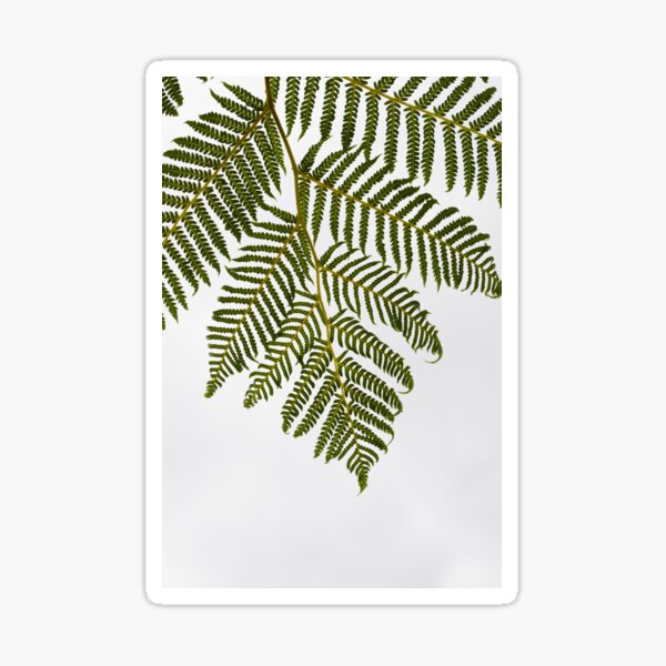 Fern Stem Sticker