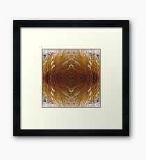 Ornamental Grass 6 Framed Print