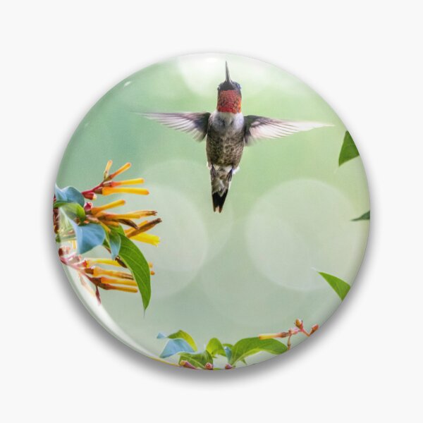 Item preview, Hummingbird in Firebush designed and sold by Mikell Herrick.