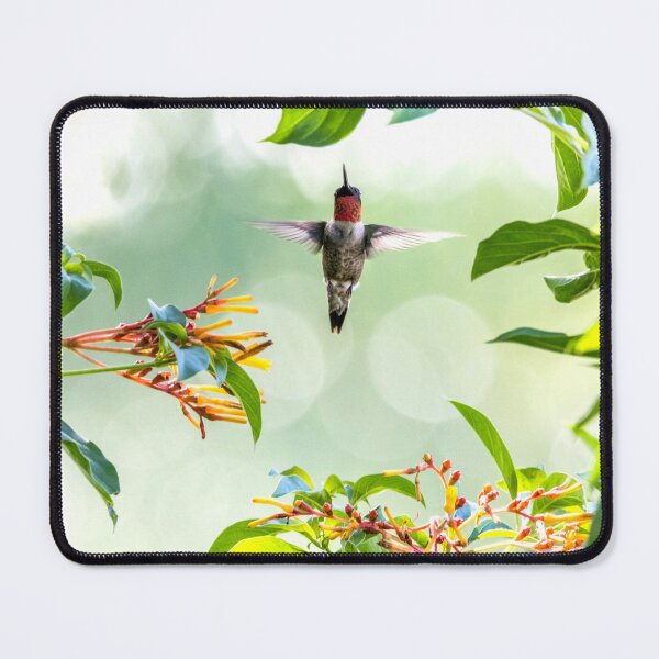 Item preview, Hummingbird in Firebush designed and sold by Mikell Herrick.