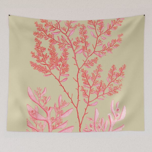 Item preview,  Algae Seaweed of the southern ocean pink watercolor designed and sold by JaneVirak.