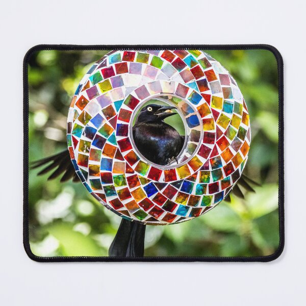 Item preview, Grackle Master of the Feeder designed and sold by Mikell Herrick.