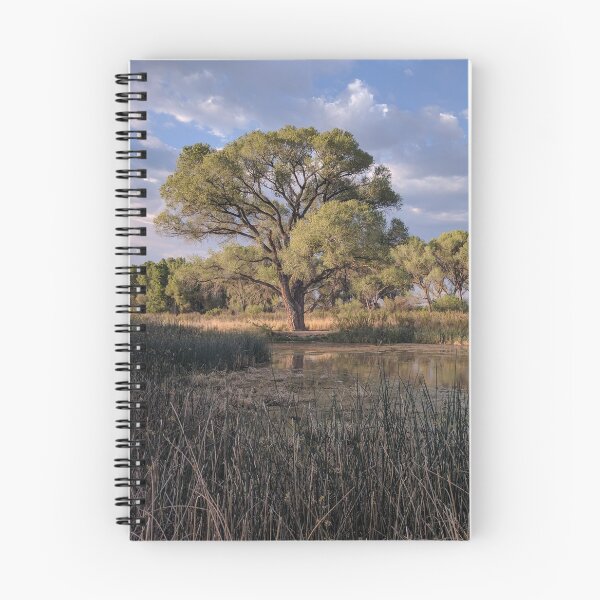 Item preview, Kingfisher Pond -- San Pedro House designed and sold by Tom Talbott.
