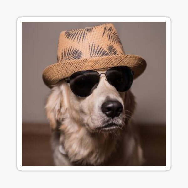 Item preview, Golden Retriever mit Sonnenbrille und Hut designed and sold by DesignVertex.