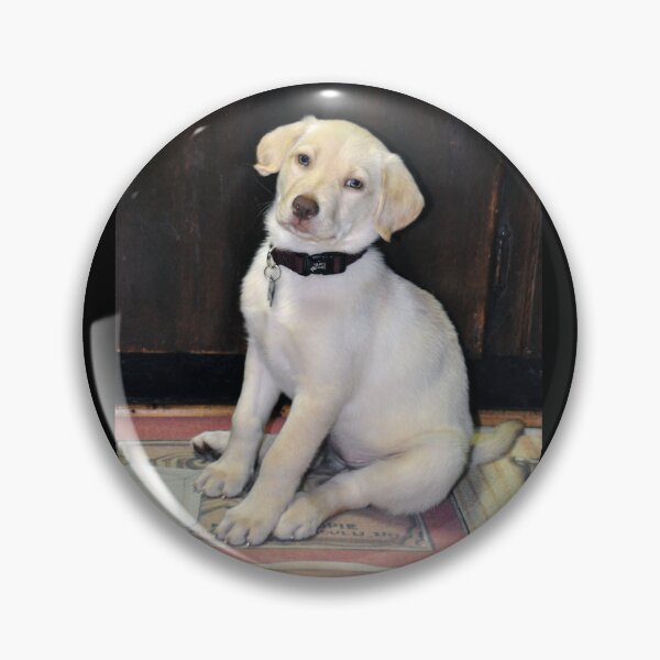 Item preview, White Labrador designed and sold by Savannah Gibbs.