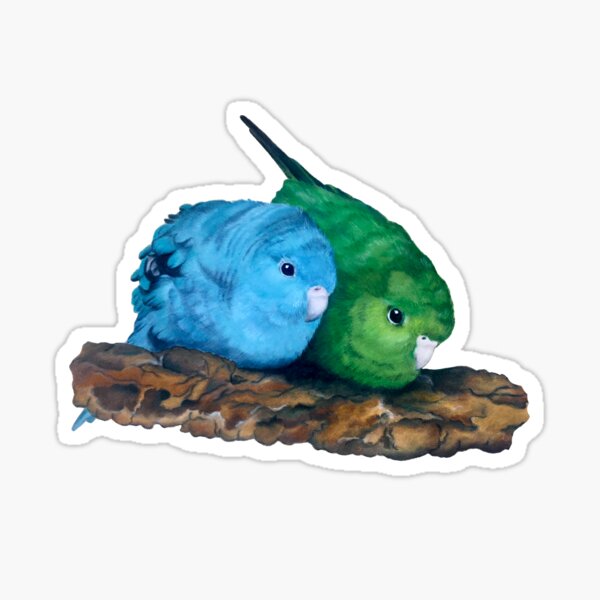 Pair of Lineolated Parakeets Sticker