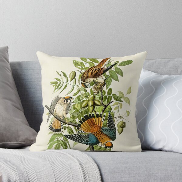 Item preview, Plate 142 American Sparrow Hawk - John James Audubon Art Prints designed and sold by TheSoulOfArt.
