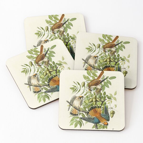 Item preview, Plate 142 American Sparrow Hawk - John James Audubon Art Prints designed and sold by TheSoulOfArt.